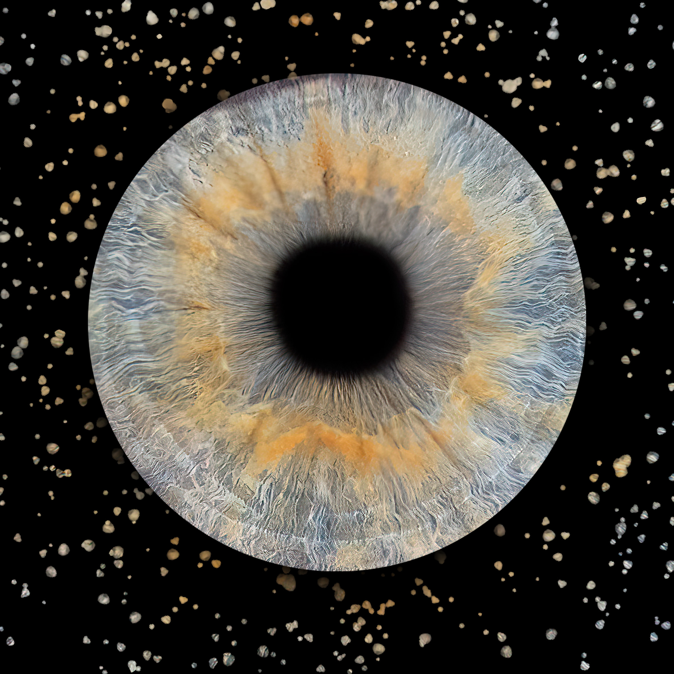 photo macro iris studio Ain 01